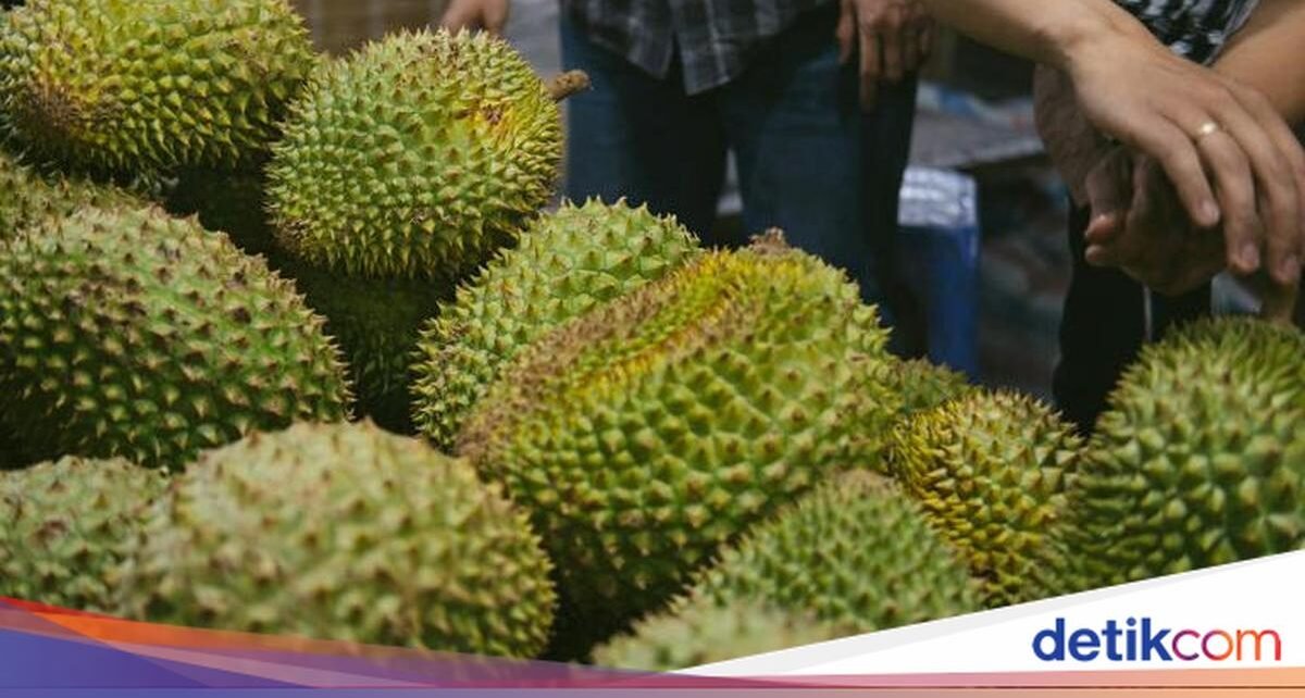 Indonesia vs Malaysia Soal Usulan Durian sebagai Buah Nasional