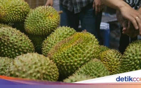 Indonesia vs Malaysia Soal Usulan Durian sebagai Buah Nasional