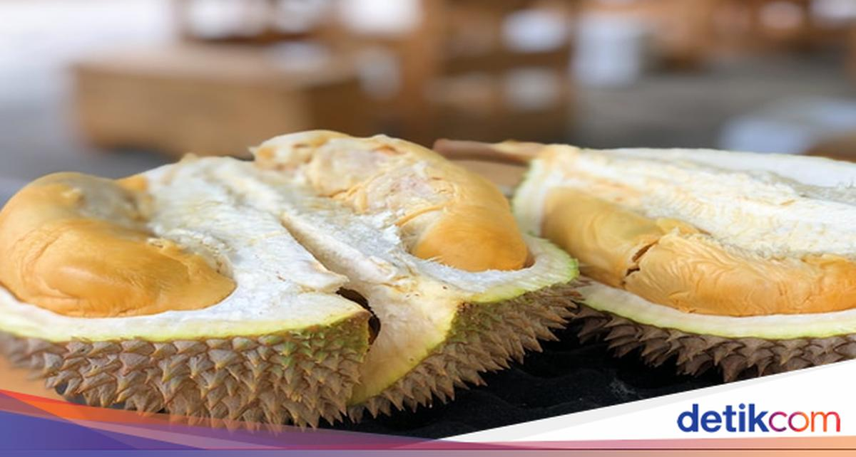Juara Legit dan Harumnya! Ini 5 Durian Jawa Timur yang Jadi Incaran