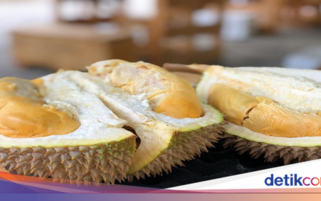 Juara Legit dan Harumnya! Ini 5 Durian Jawa Timur yang Jadi Incaran