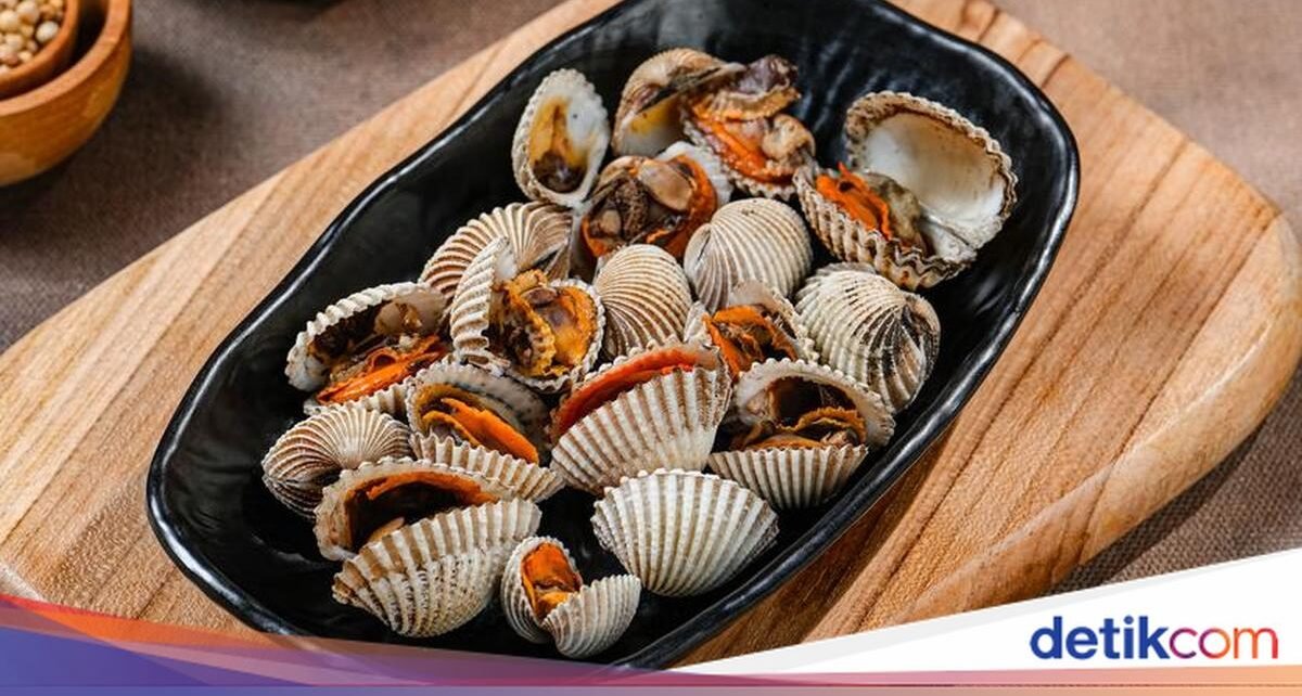Praktis! Cara Merebus Kerang Dara agar Tak Amis dan Cangkang Terbuka
