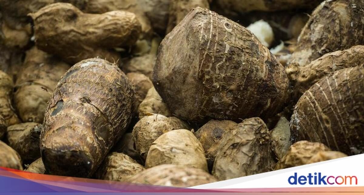 Kenali 10 Jenis Pangan Asli Indonesia, Bisa Jadi Pengganti Nasi Lho!