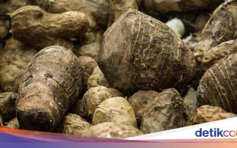 Kenali 10 Jenis Pangan Asli Indonesia, Bisa Jadi Pengganti Nasi Lho!
