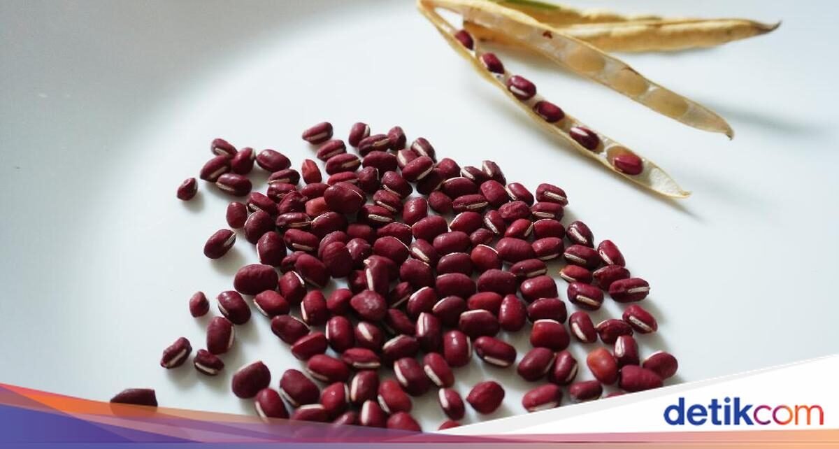 Rahasia Masak Nenek! 7 Stok Dapur yang Selalu Ada dan Wajib Ditiru