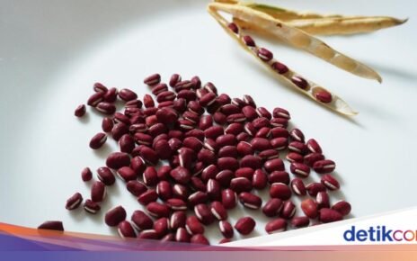 Rahasia Masak Nenek! 7 Stok Dapur yang Selalu Ada dan Wajib Ditiru