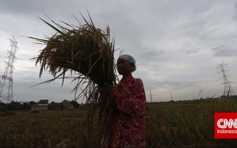 Pupuk Subsidi Menggunung, Simbol Kemajuan Ketahanan Pangan Indonesia