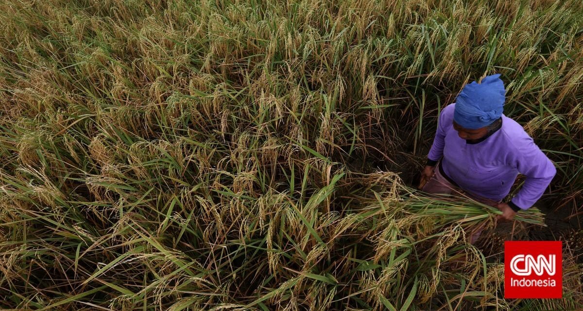 Data Kesuburan Tanah, Cara Pupuk Indonesia Jaga Efisiensi Ekosistem