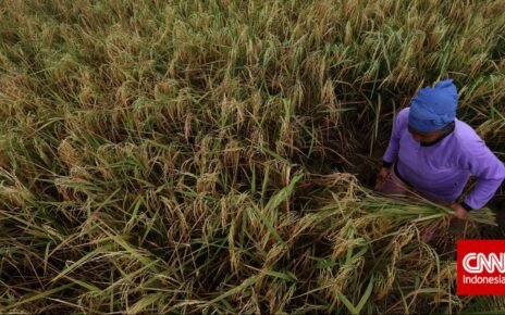 Data Kesuburan Tanah, Cara Pupuk Indonesia Jaga Efisiensi Ekosistem