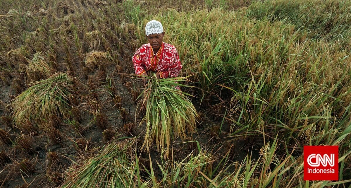Pabrik PIM Stop Sementara, Pupuk Indonesia Pastikan Stok Tetap Aman