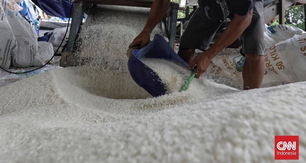 RI Surplus Beras 4,7 Juta Ton Tahun Ini