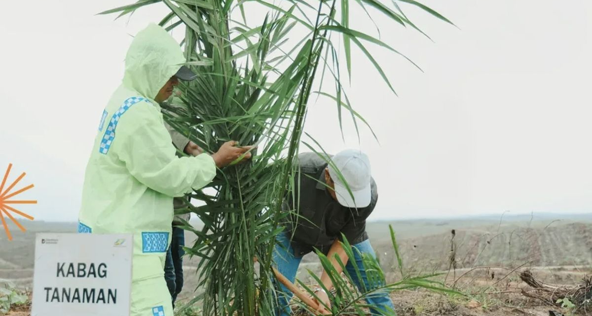 Efisiensi dan Disiplin Jadi Kunci Kinerja PTPN IV Regional III