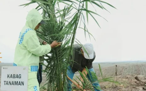 Efisiensi dan Disiplin Jadi Kunci Kinerja PTPN IV Regional III