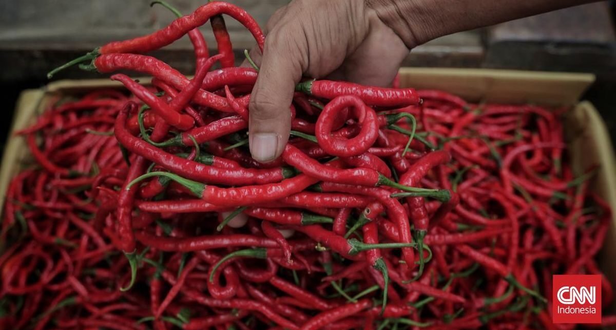 Susah Payah Dapur Usaha Rumahan Menyala di Tengah Lonjakan Harga Cabai