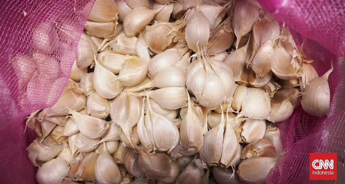 Respons Sentilan Luhut, UGM Beber Sederet Penelitian soal Bawang Putih