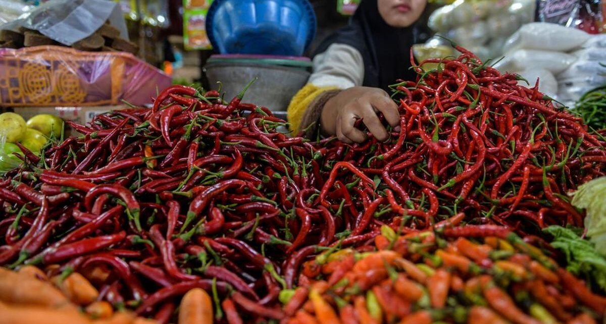 Pemerintah Siapkan Pasokan Cabai untuk Redam Harga Jelang Nataru