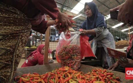 Harga Cabai Rawit Naik Tajam, Minyakita Masih di Atas HET