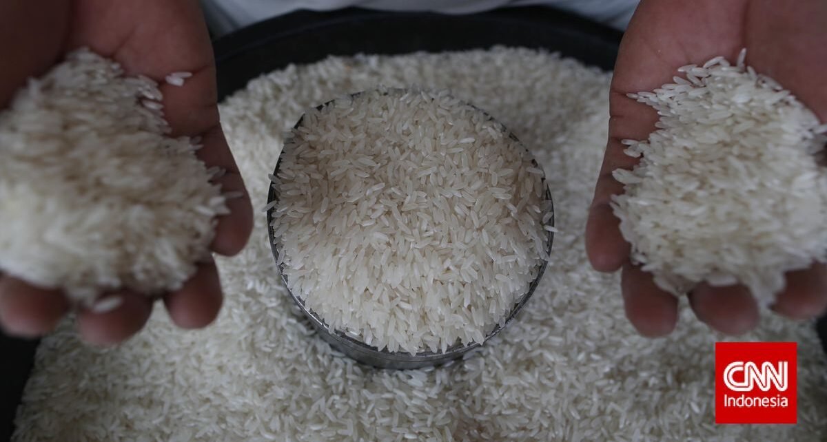 Redam Lonjakan Harga, Bulog Gelontorkan 1.200 Ton Beras Murah di Papua