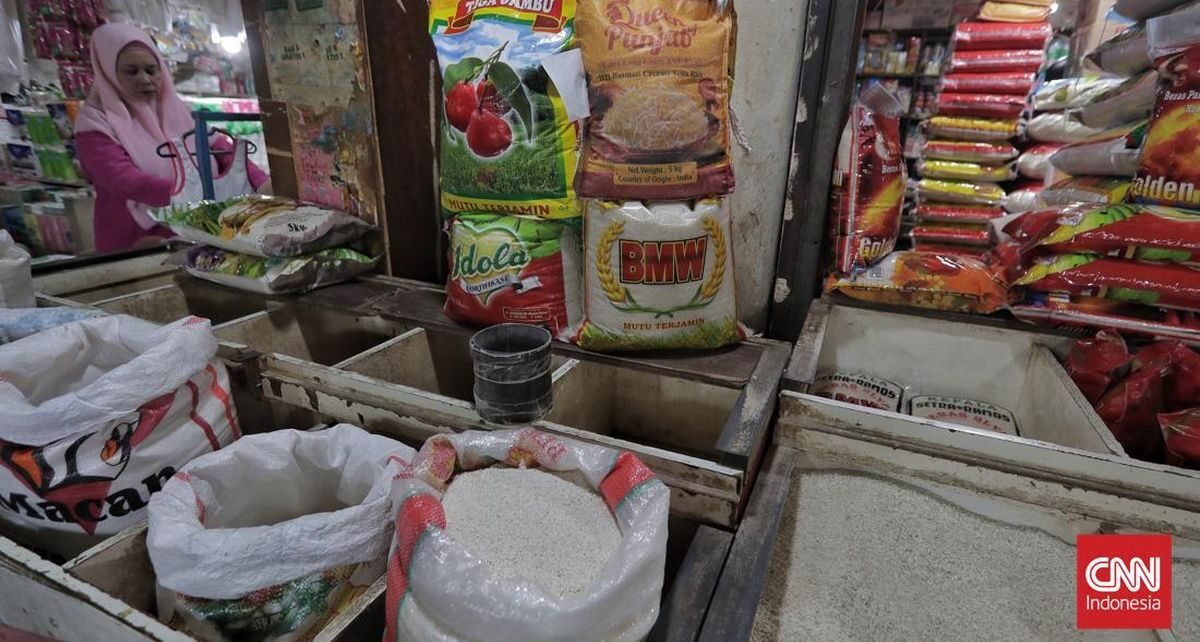 Bukan Menghambat, Pembaruan KBLI 2025 Tangkap Ekonomi Baru Indonesia