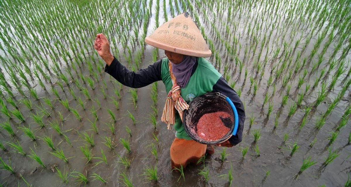 Kualitas Pupuk Indonesia Tidak Diragukan Lagi