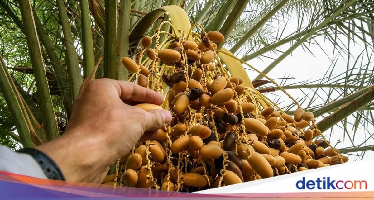 5 Buah Langka yang Sudah Punah, Nomor 5 Ternyata Asal Indonesia