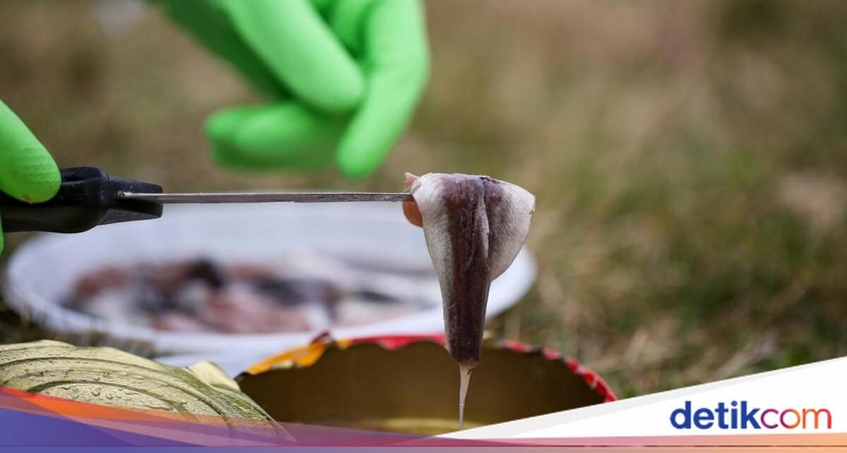 6 Makanan Paling Bau di Dunia, Mirip Bangkai hingga Kaus Kaki Kotor!