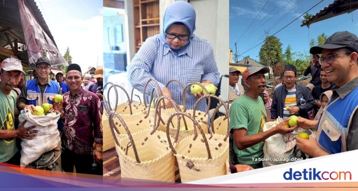 Anies Baswedan Borong Sekarung Jambu Korban Bencana Aceh di Pidie Jaya