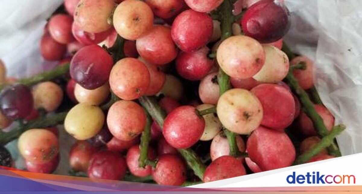 8 Buah Endemik Indonesia Ini Mulai Langka, Tahu Namanya?