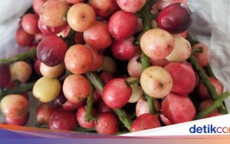 8 Buah Endemik Indonesia Ini Mulai Langka, Tahu Namanya?