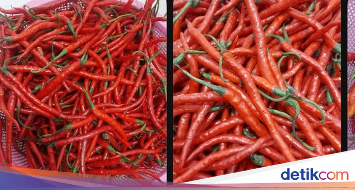 Makanan 'Perusak' Jantung hingga Aksi Netizen Borong Cabai Takengon