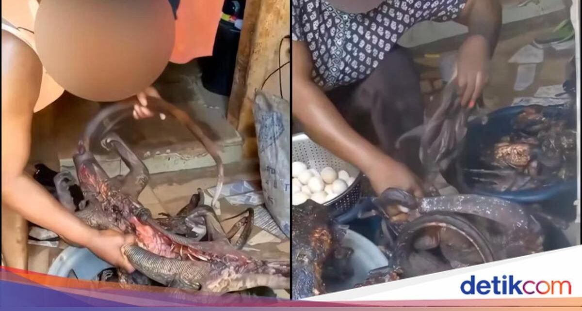 Duh! Kini TikTok Jadi Tempat Promosi Daging Satwa Langka untuk Dimakan
