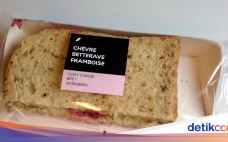 Menu Sandwich di Pesawat Mirip Makanan Penjara, Begini Tampilannya