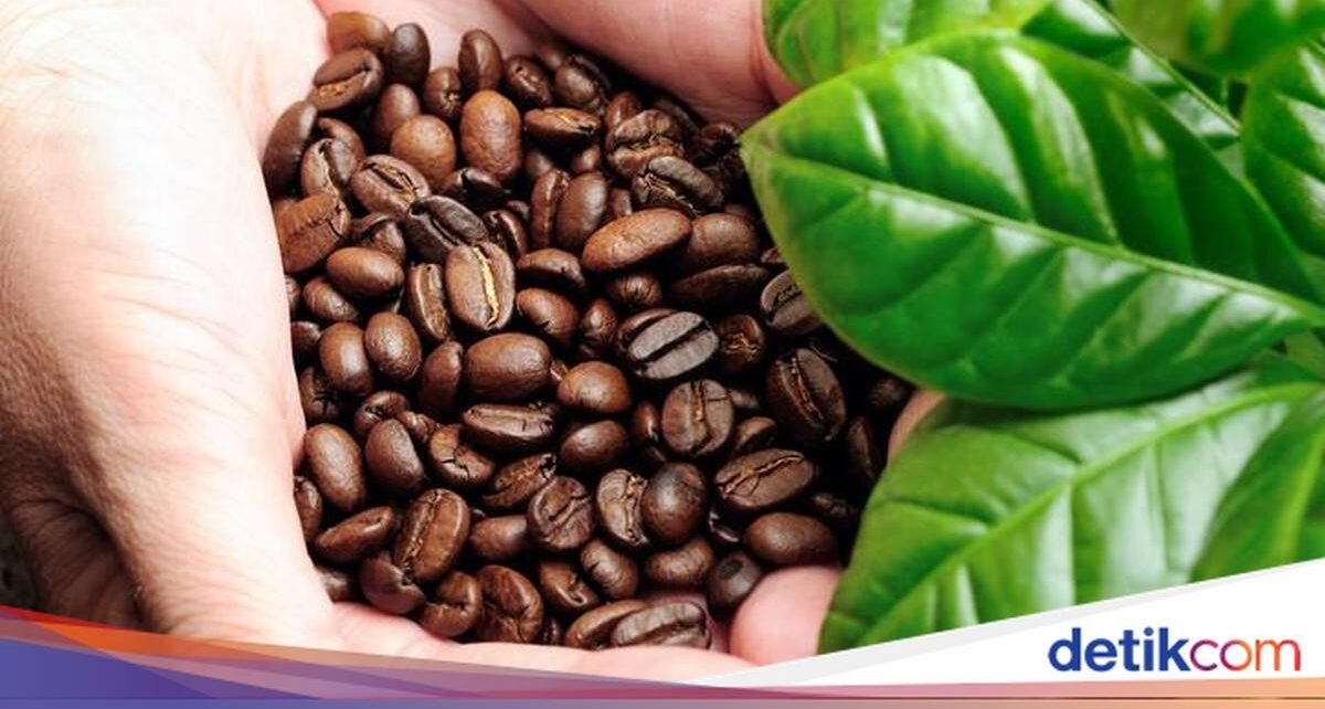 Keistimewaan Biji Kopi Terbaik Dunia, Ada dari Sumatera hingga Ethiopia