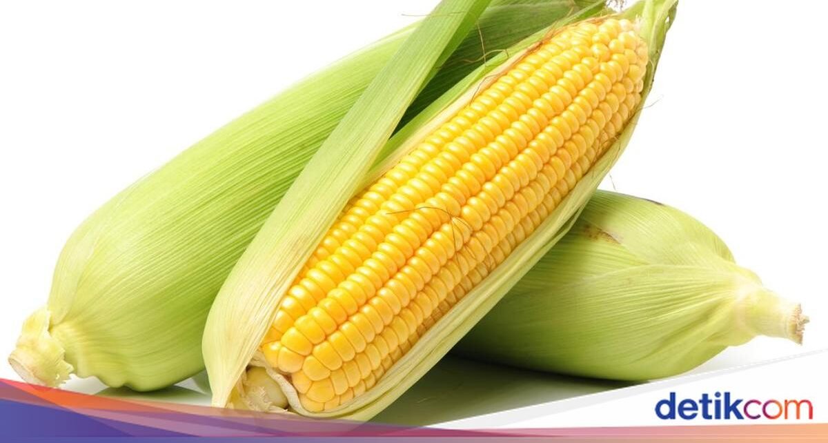 Bukan Kebetulan! Ini Fakta di Balik Jumlah Baris Biji Jagung yang Genap