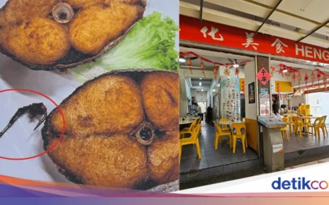 Ngeri! Lagi Makan Ikan Goreng Nemu Kail Pancing 2,5 Cm