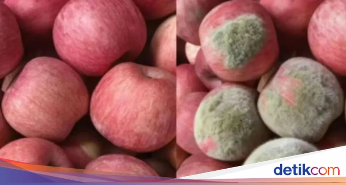 Modus Baru! Foto Apel Diedit AI agar Tampak Rusak untuk Klaim Refund