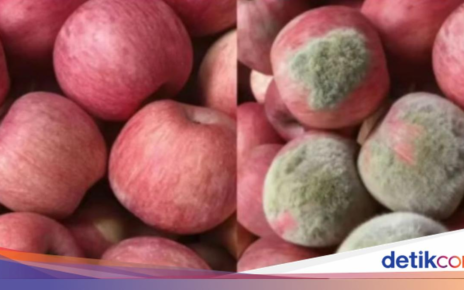 Modus Baru! Foto Apel Diedit AI agar Tampak Rusak untuk Klaim Refund