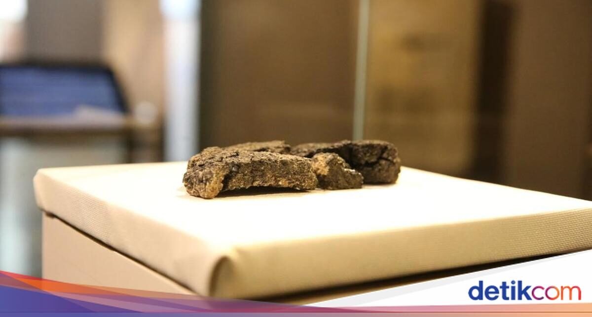 Wow! Penemuan Roti 5.000 Tahun Ini Ungkap Pola Makan Manusia Purba
