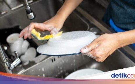 Spons Dapur Lebih Kotor dari Toilet! Ini Fakta yang Sebenarnya