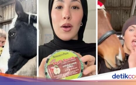 Waduh! Kini Muncul Tren Nyeleneh Cicip Makanan Kuda di TikTok